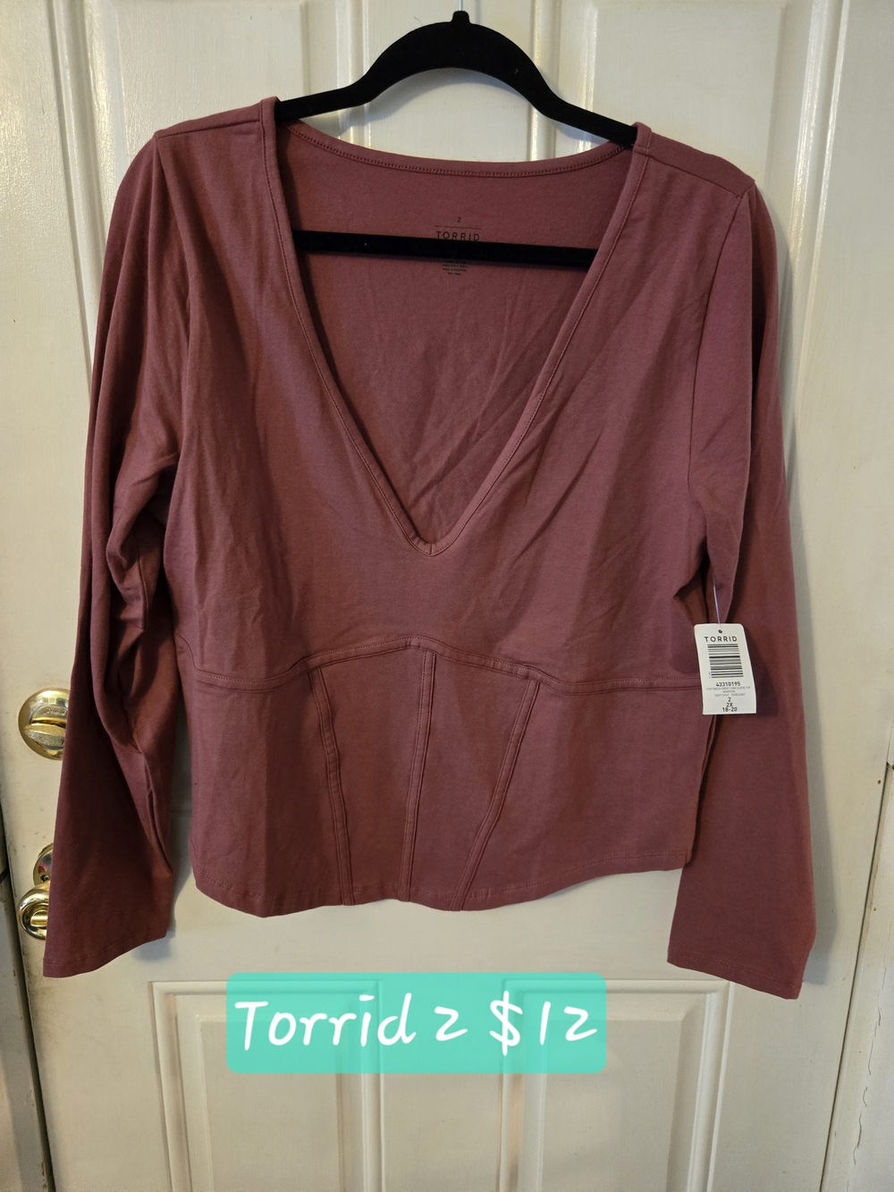 torrid rose-mauve V-neck Long Sleeve Corset Top